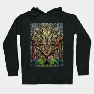 Deity Hoodie